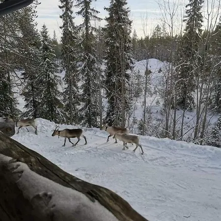 Апартаменты Etelaerinne 10 B