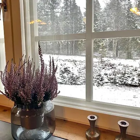 Etelaerinne 10 B Apartment *