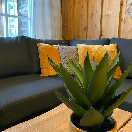 Etelaerinne 10 B * Рука