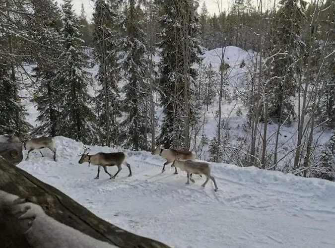 Appartamento Etelaerinne 10 B