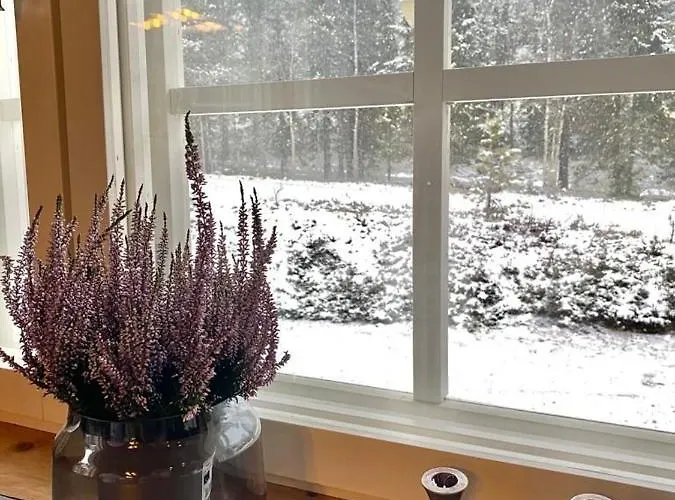 Etelaerinne 10 B 아파트 *