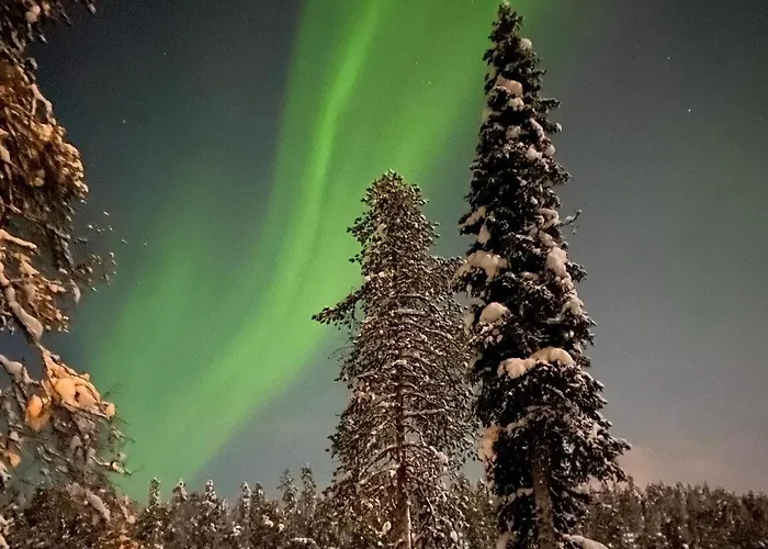 Etelaerinne 10 B * 루카